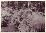 Geologisches Naturdenkmal "Böser Brunnen" - Aufnahme von 1956